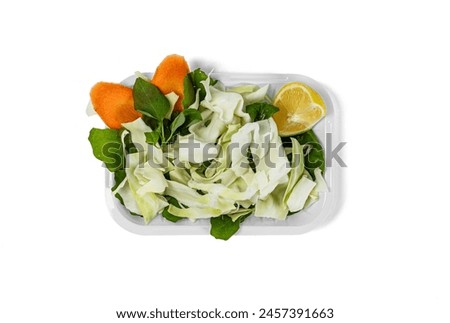 indian restaurant salad in high resolution images and isolated in white with blurry ends