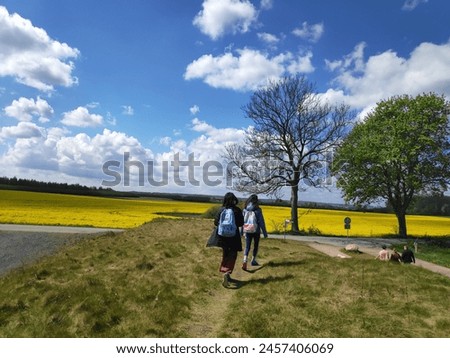 Scenic Countryside Hike: Exploring Green Fields and Village Homes amidst Blooming Yellow Flowers under a Summer Sky
