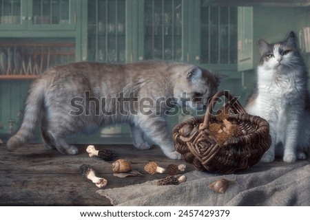 Two funny cat on a table with mushrooms