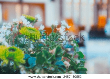 Picture of beautiful flowers in a Christian church.