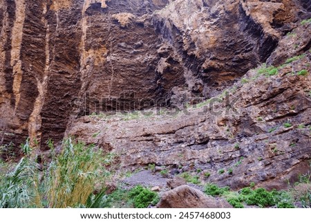 Masca Gorge is a narrow valley in the north-west of the island of Tenerife.