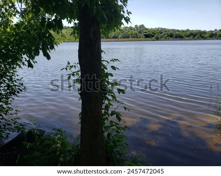 beautiful shot of a river surrounded by trees on a sunny day