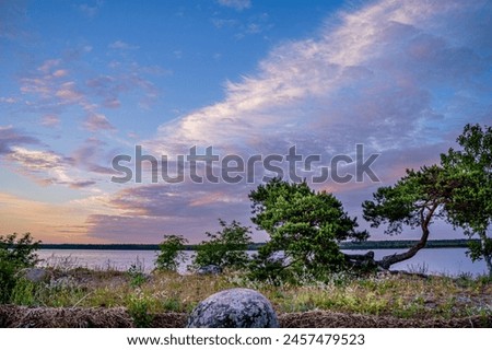 beautiful scenic evening sunset landscape with purple, pink, vanilla, pastel sky with beautiful clouds, green trees and stones