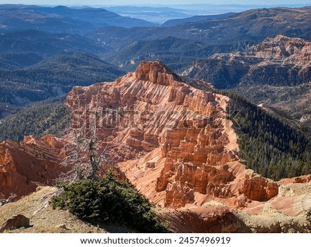 Cedar Breaks National Monument in Utah. A natural amphitheater filled with hoodoos, windows, canyons, spires, walls, and steep cliffs. A veiw from the canyon rim.  Royalty-Free Stock Photo #2457496919