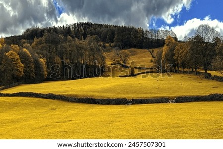 A panoramic autumn landscape, featuring rolling hills, ancient trees, and a dramatic sky composes a picturesque scene near Sutton-in-Craven, Yorkshire, UK. Royalty-Free Stock Photo #2457507301