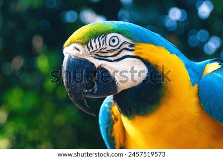 In a tropical oasis, exotic parrots steal the spotlight with their dazzling plumage. Their vibrant colors pop against the lush green foliage, painting a picture of untamed beauty and tropical allure.