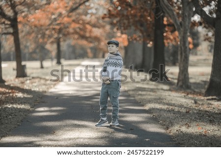 Fall. child walking away into the golden trees alley. Foliage with background of autumn trees landscape. maple leaves.