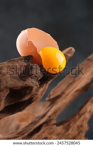 still life photography, broken egg on the end of the wood