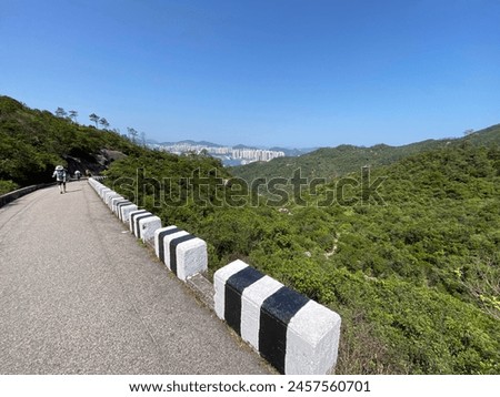 Scenic Mountain Road with Lush Greenery and Clear Blue Sky