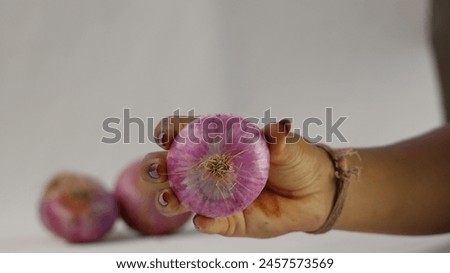 Close up picture of Onions . Onions stock photography. Vegetable photography. Onions holding in hand . Holding onions .