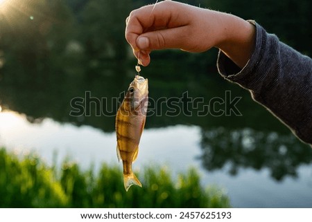 Hand holding a small fish by the line against a backdrop of a sparkling lake and lush greenery at sunset