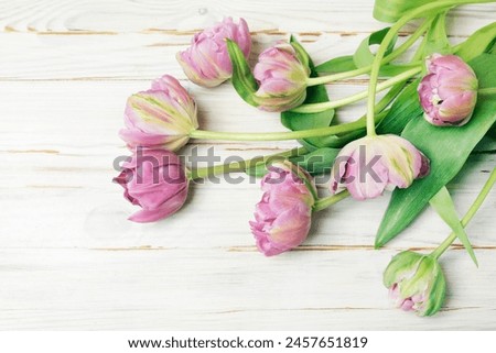 Pink tulips on wooden table. 