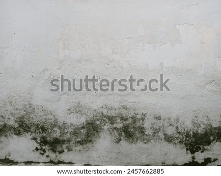 white mossy walls with natural patterns  Royalty-Free Stock Photo #2457662885