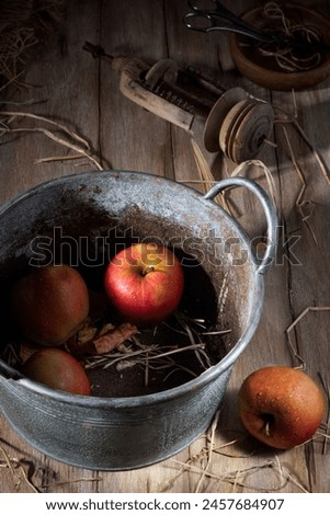 Red apples in an old basin