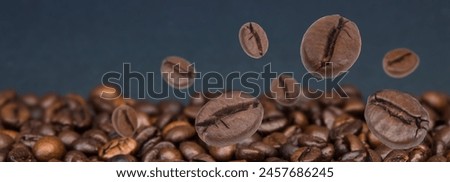 Falling coffee beans. Flying defocused coffee beans. Used for cafe advertising, packaging, menu design. Banner