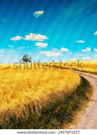 Path through the wheat, a golden maze where whispers of the wind guide your journey.
