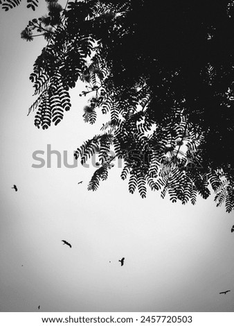 Black and white picture of a tree and birds
