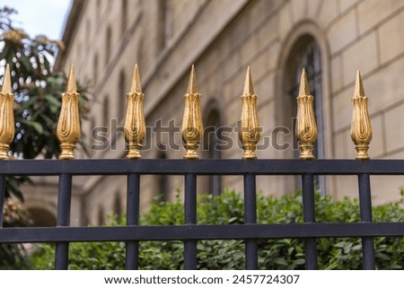 Close-up of an ancient fence in Paris in daylight.