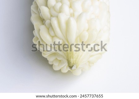 Closeup of a fresh white bitter melon isolated on a white background. Bitter melon (Momordica charantia) is a tropical and subtropical vine of the family Cucurbitaceae grown for its edible fruit. Royalty-Free Stock Photo #2457737655