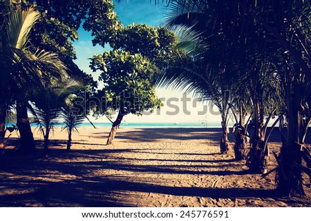 Tropical beach. Vacation, travel, summer, relaxation and lifestyle concept. 