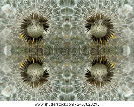 Dandelion on a background of bright sky. Dandelion abstract background. Freedom to Wish. Shallow depth of field. Abstract dandelion flower background. Seed macro closeup.