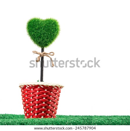 plant in pot shaped like heart 