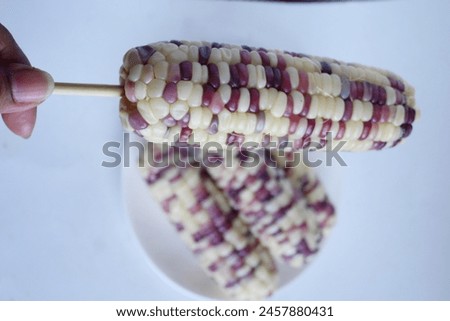 waxy corn Cereals rich in vitamins and carbohydrates that are beneficial to the body