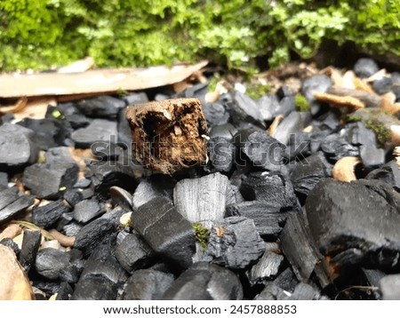 pile of wood charcoal picture 