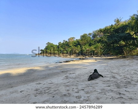 Pictures of white sand beaches, green forests, beautiful nature of Thailand.