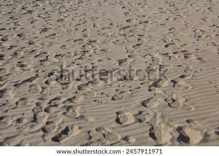 multiple footprints on the sand walking to the freedom Royalty-Free Stock Photo #2457911971