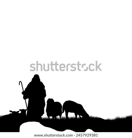 Animals isolated on white background