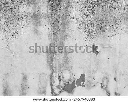 a photography of a black and white photo of a wall with a fire hydrant.