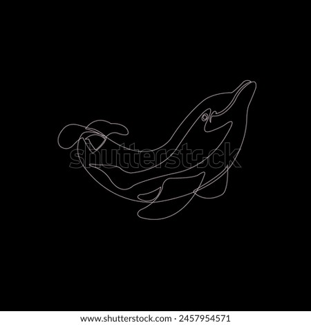 vector line art of dolphins in white