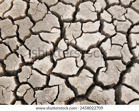 The picture shows cracked earth, pale brown, symbolizing life's resilience.