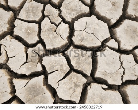 The picture portrays cracked earth in pale brown showing nature's resilience.