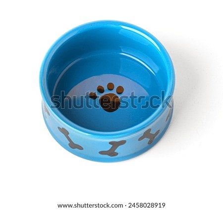 The pet bowl is isolated on a white background with clipping path