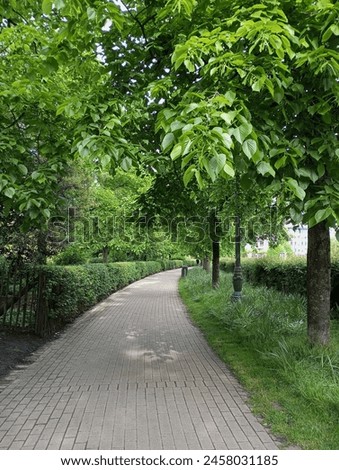 Close up of a pathway, walkway, track, trail in a park in Belgium, Brussels Royalty-Free Stock Photo #2458031185