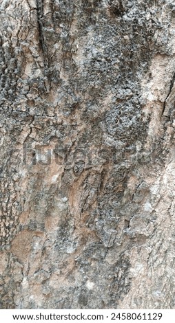 Free photo tree barkground  texture set new sharp pattern background