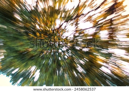 Abstract photography with a blurred background of a green tree crown with foliage of contrasting colors, shapes and lines