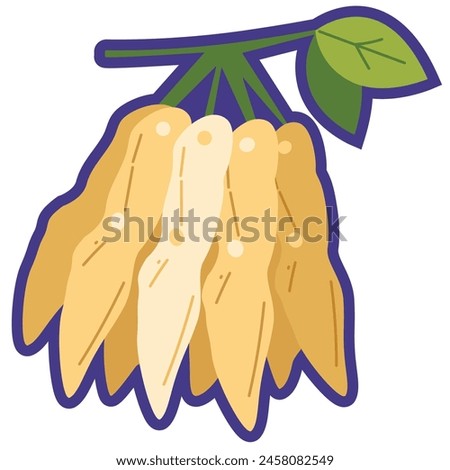 Tamarind fruit vector illustration, buah asam jawa tropical fruits, tamarindo or tamarindus indica clip art, indian date flat icon
 Royalty-Free Stock Photo #2458082549