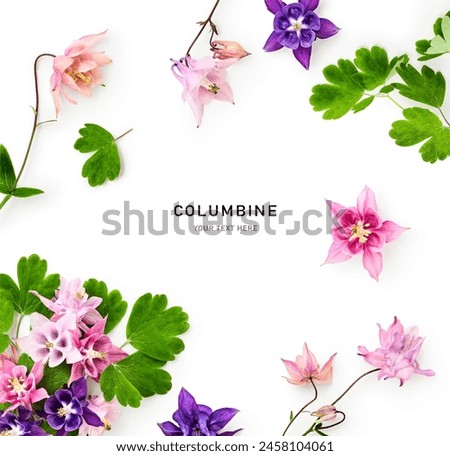 Columbine flowers and leaves frame composition isolated on white background. Pink and blue aquilegia vulgaris flower. Creative floral layout. Top view, flat lay. Design element. Greeting card
