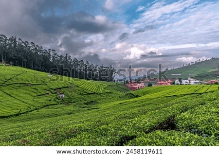 high-resolution stock photo collection of Ooty's landscape showcases the serene beauty of the Nilgiri Mountains adorned with lush greenery, enveloped by wispy clouds. Each image captures the pictures