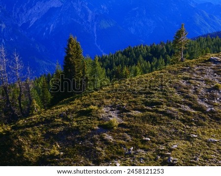 View on mountains in the Osttirol region on a summer day,mountains, sky, clouds. Lush green vegetation.  Alps, Austria.  Royalty-Free Stock Photo #2458121253