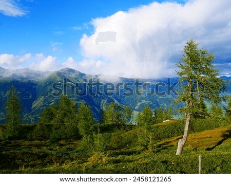 View on mountains in the Osttirol region on a summer day,mountains, sky, clouds. Lush green vegetation.  Alps, Austria.  Royalty-Free Stock Photo #2458121265