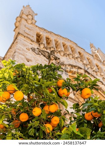 Picturesque charm of Sóller with a portrait of the defocused Sant Bartomeu church facade, framed by lush orange trees bearing the quintessential fruits of the region, inviting to explore its beauty.