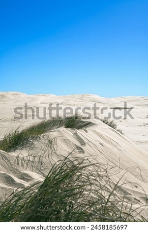 Sand dunes at Stockton beach in NSW Australia