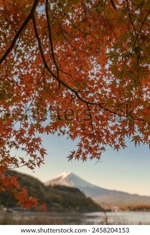 Mount Fuji view at Lake Kawaguchi in Autumn season. Mt Fujisan in Fujikawaguchiko, Yamanashi, Japan. Landmark for tourists attraction. Japan Travel, Destination, Vacation and Mount Fuji Day concept Royalty-Free Stock Photo #2458204153