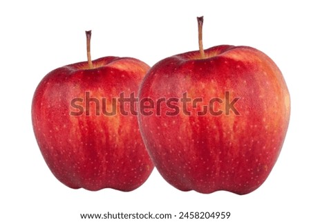 image or picture of apple