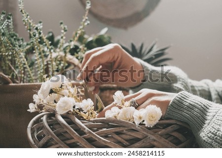 Close up of woman creating a plant gardening composition with bucket on a wooden table. Indoor job work leisure activity female people. Green mood color picture of working in houseplant nature
