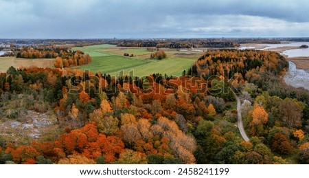 Beautiful autumn landscape. Aerial photography